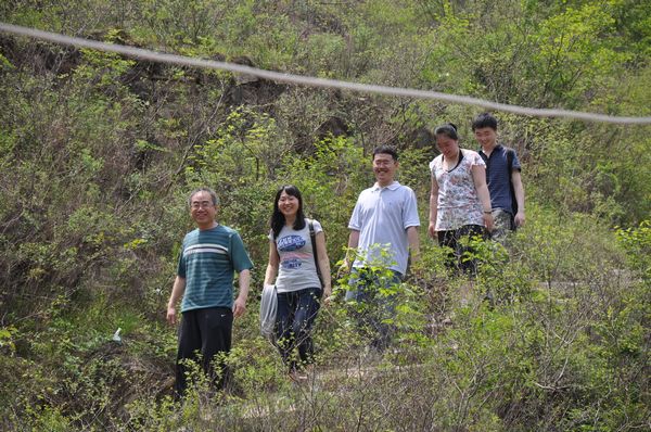 凯发官网平台注册